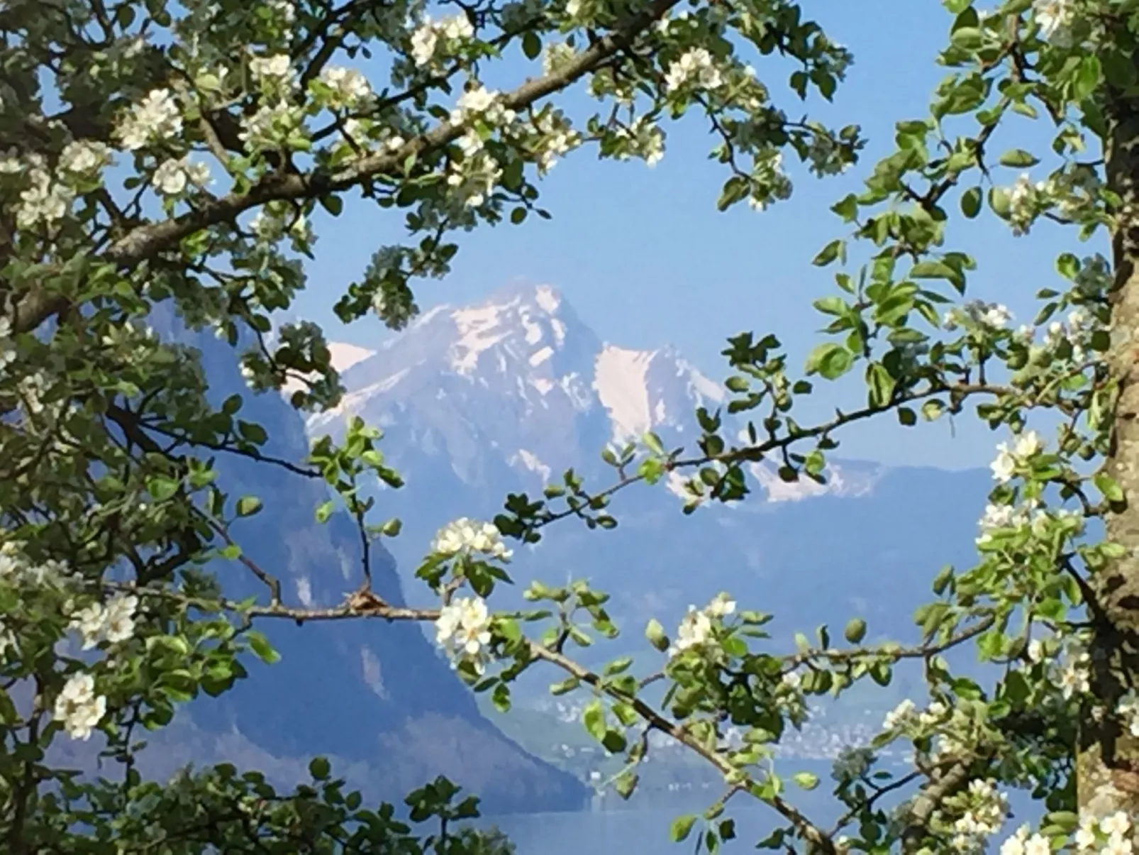 Chalet Bärgblick-Buiten