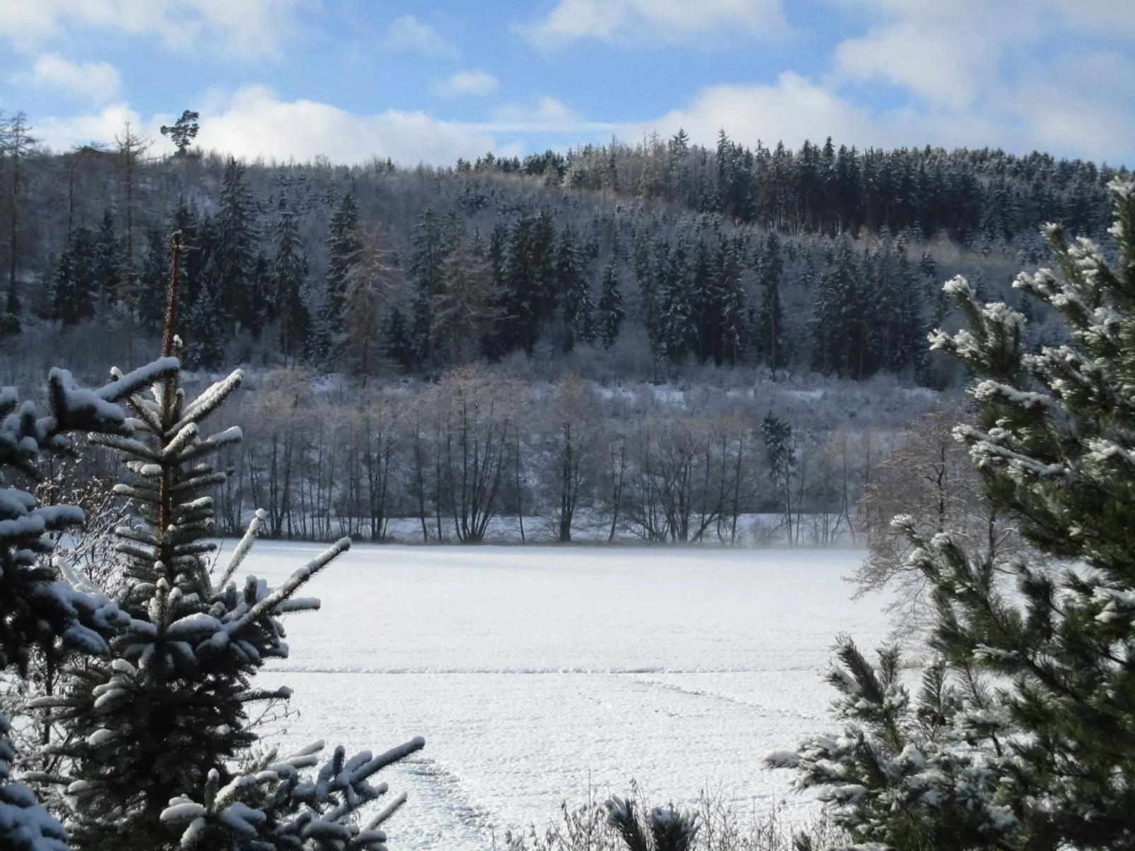 Grosse, hundfreundliche Ferienwohnung in der Nähe des Flusses-Image-tags.info