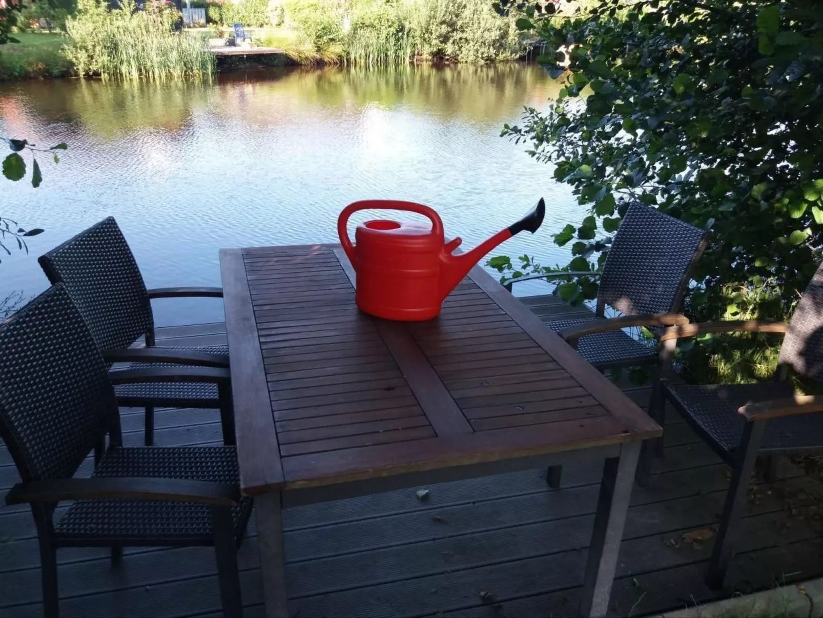 Pinto Rosso-Image-tags.info