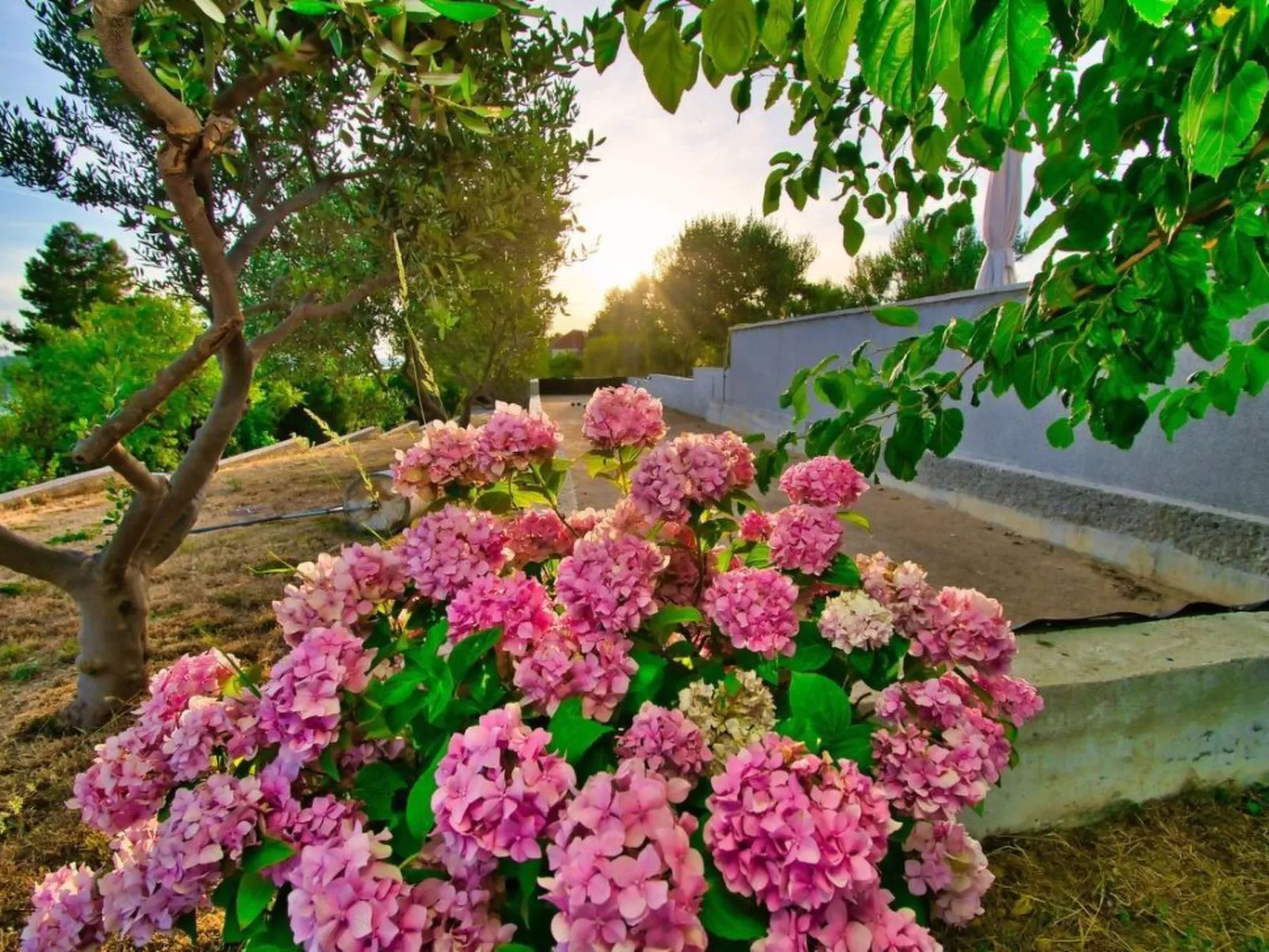 Villa mit herrlichem Meerblick-Buiten