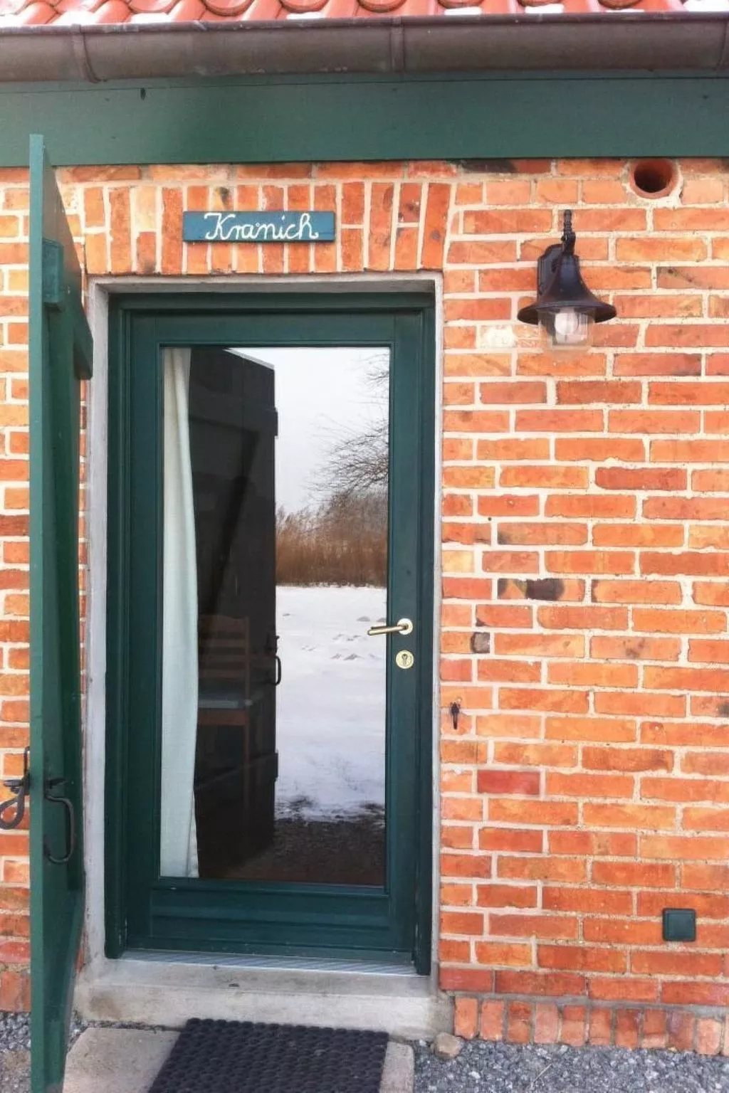 Kranich in Ummanz-Lüßvitz