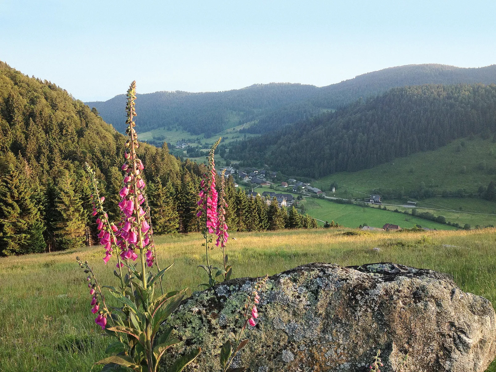 Haus Maria Hochschwarzwald, Garten umzäunt, Waldrand, Hunde willkommen