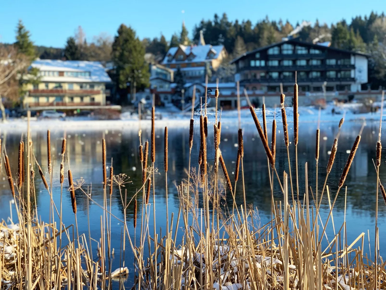 Ferienwohnung mit Infrarotwärmekabine - Buiten