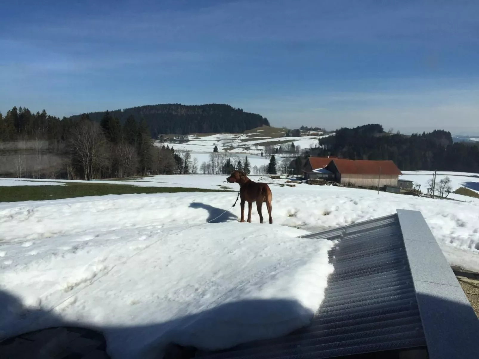 In Buchenberg mit Garten und Terrasse