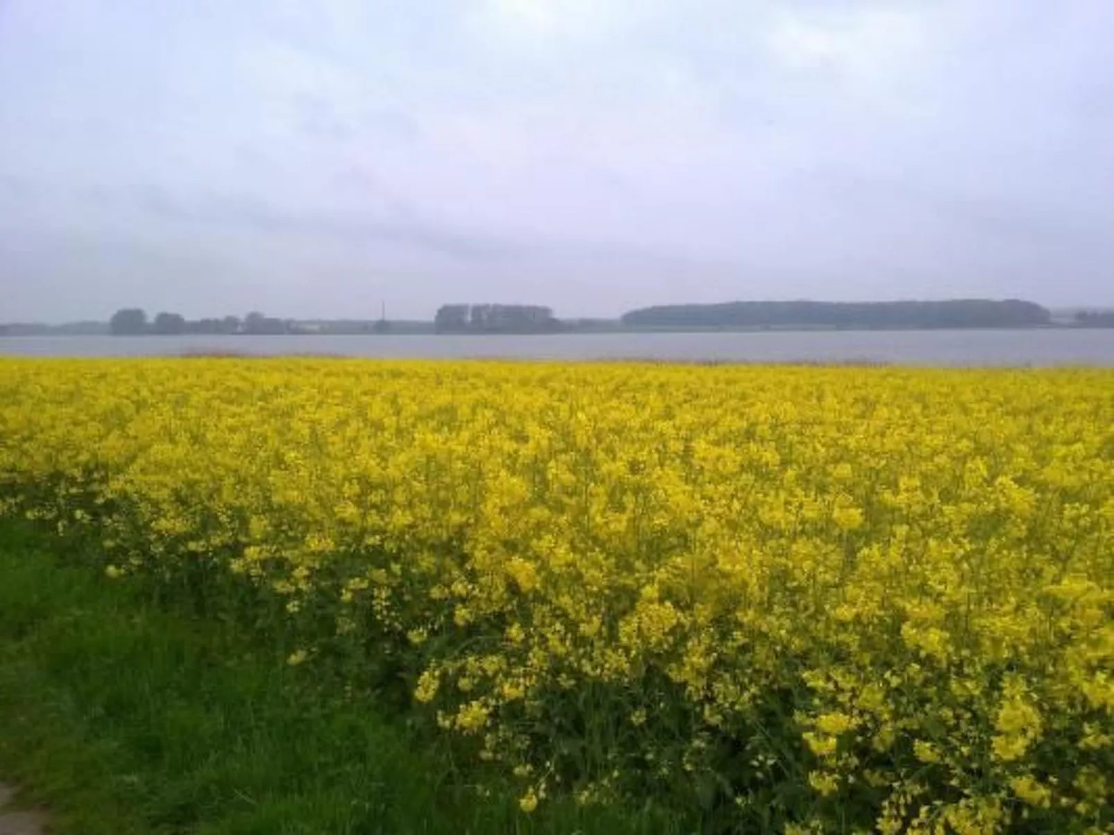In Winnemark mit Großem Garten