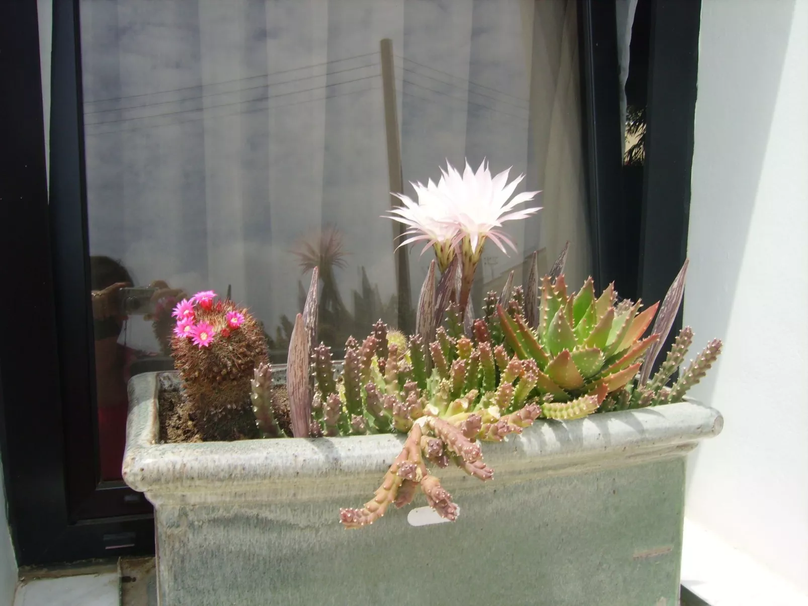 Kissonerga Apartment-Binnen