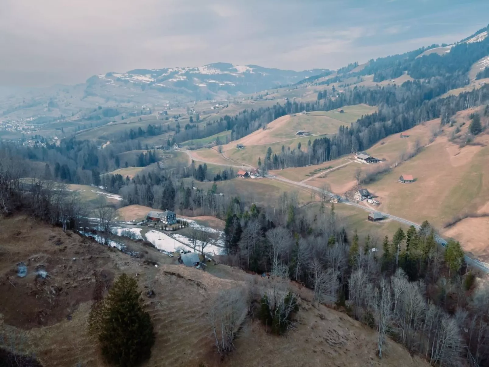 Alpenrösli in Nesslau