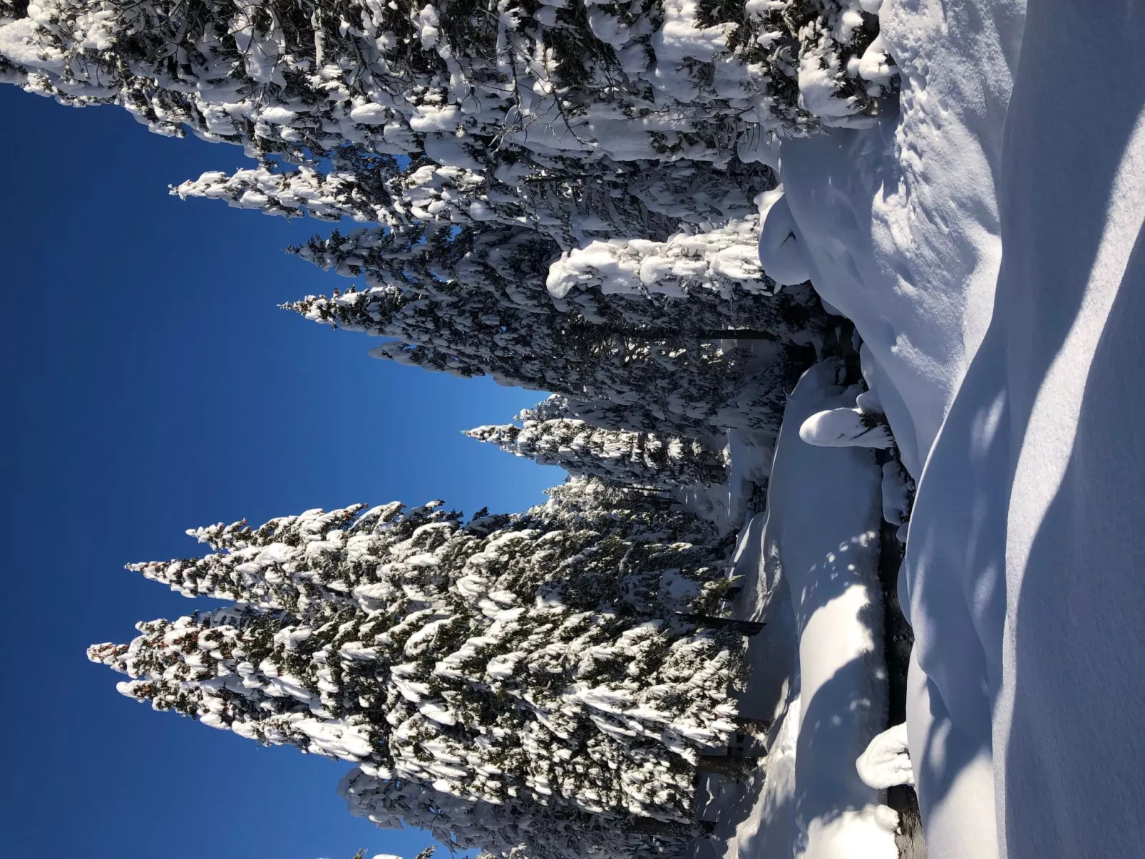 Sunny retreat-Buiten