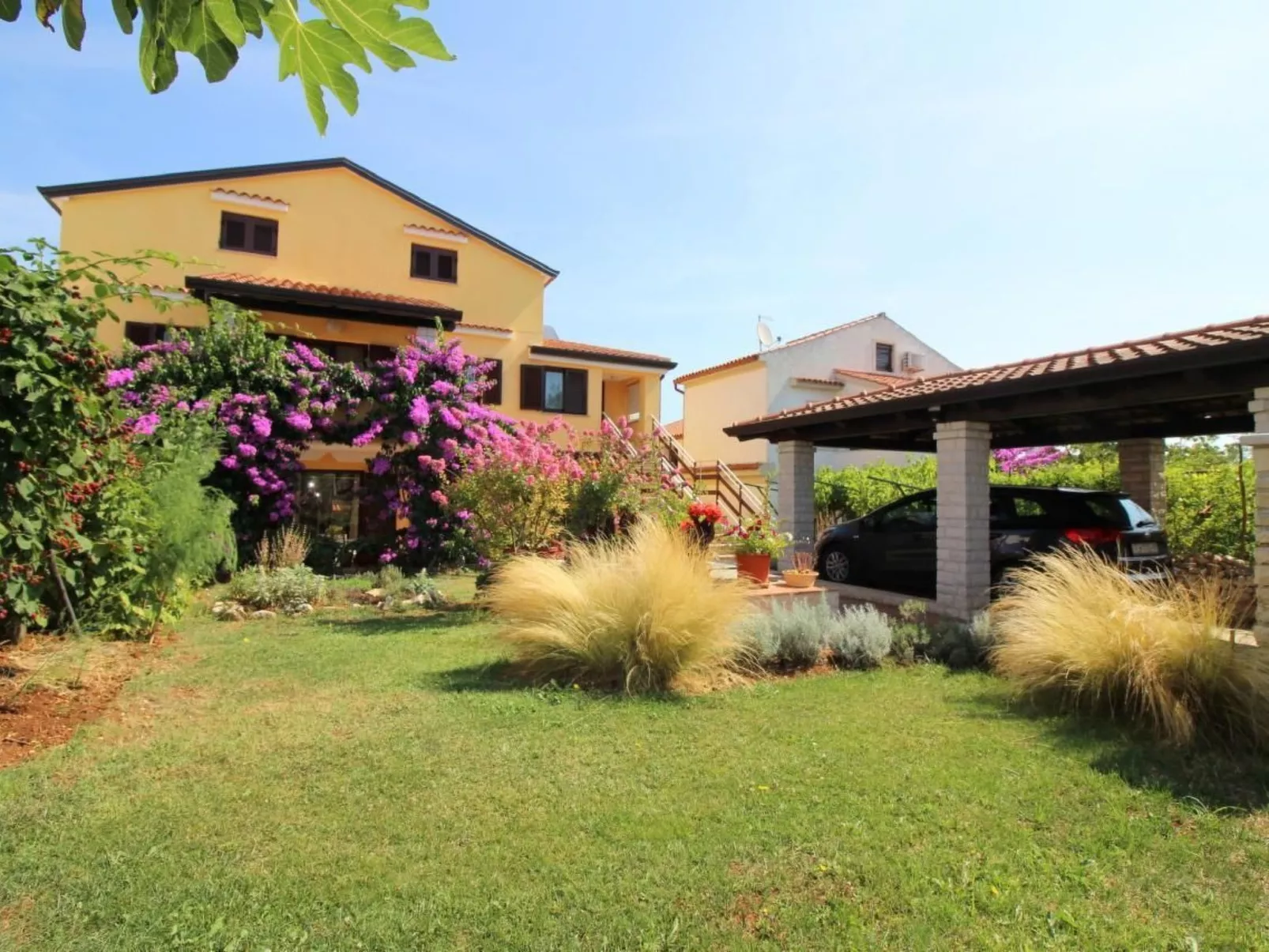 FeWo Tancel 4-Image-tags.info