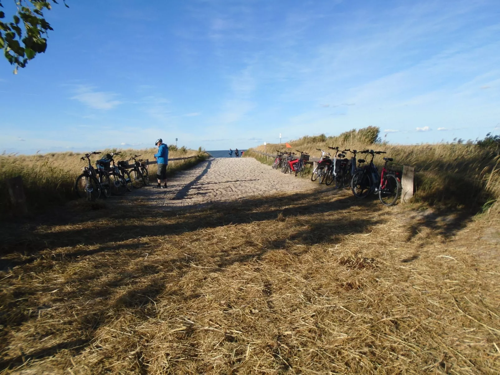 Komfortable Ferienwohnung in Zingst