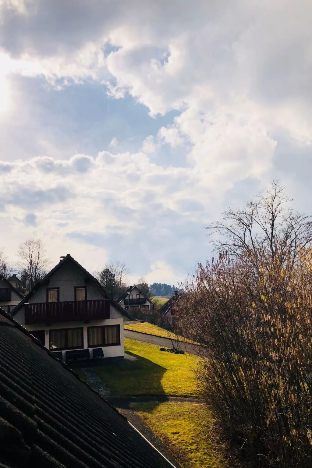 Charly in Kirchheim Seepark