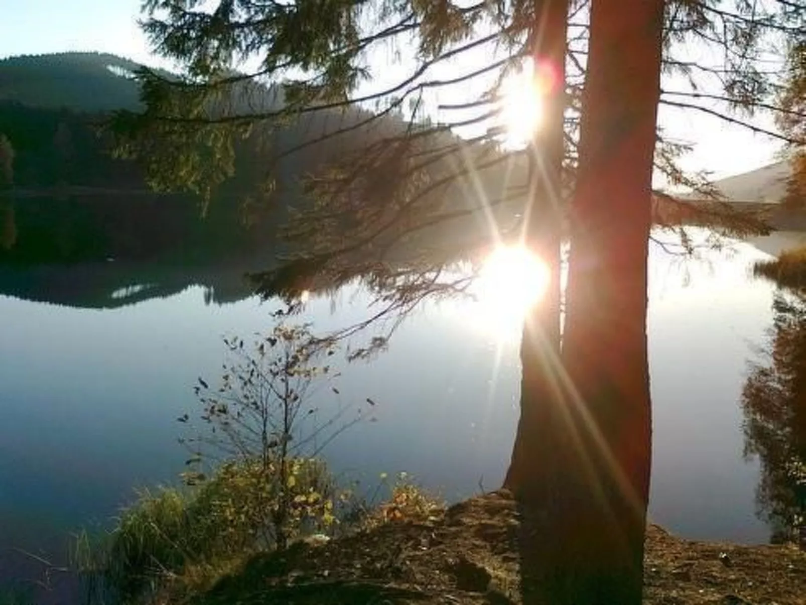 Altes Forsthaus-Image-tags.info