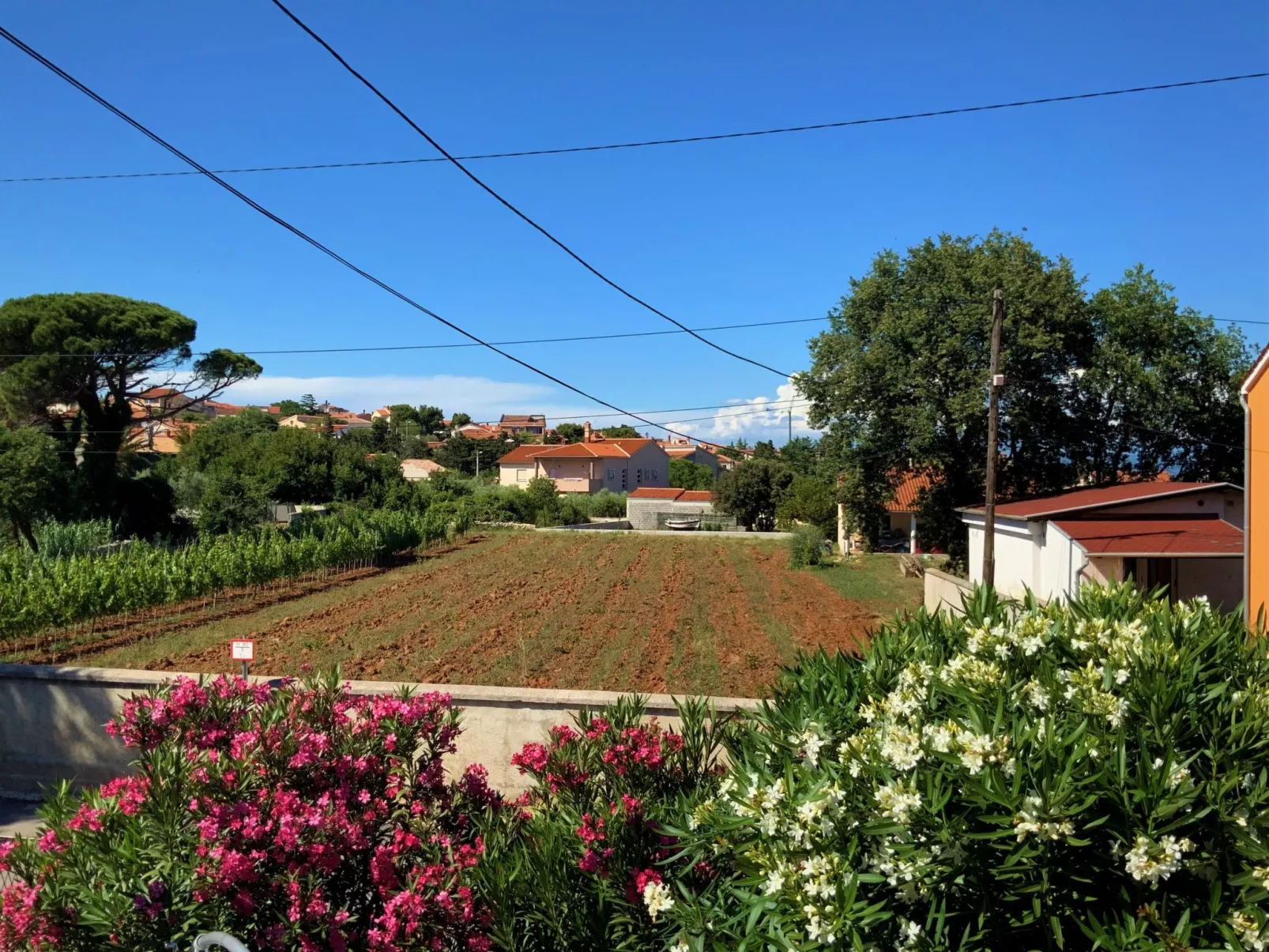 Wunderschöne Ferienwohnung in Ližnjan mit Garten, Grill und Terrasse-Buiten