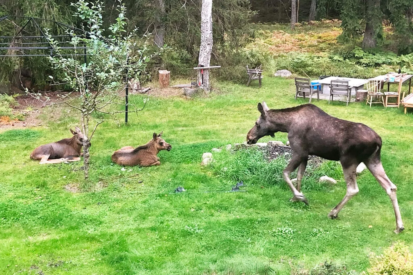 5 persoons vakantie huis in DJURHAMN-Buitenlucht