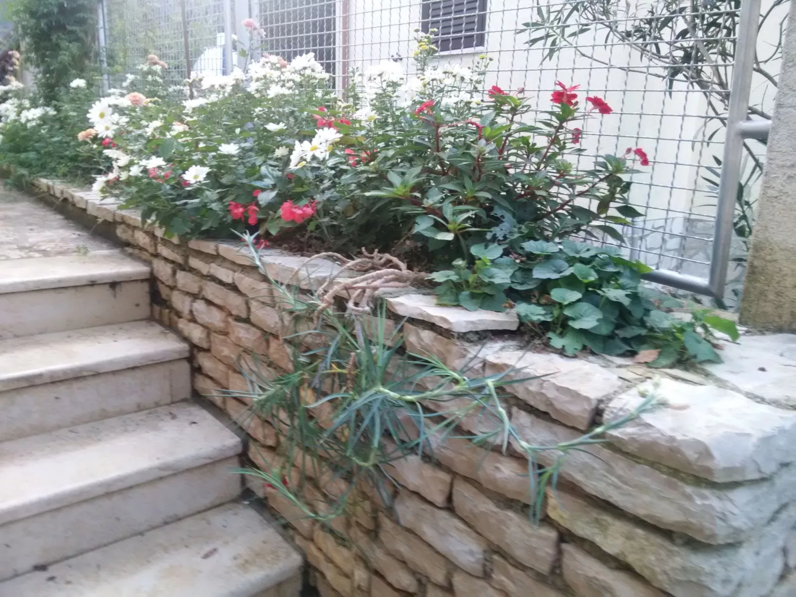 Wohnung "MaVeRo" direkt am Strand