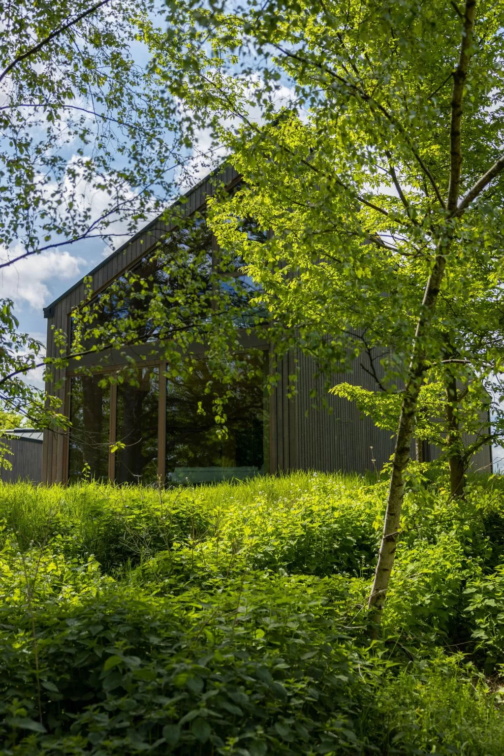 (VIII) Cabin Cozy - Buiten