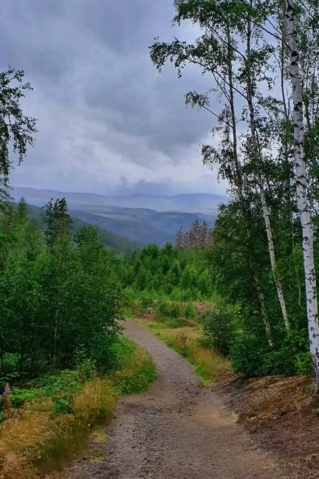 Harzgeiss-Image-tags.info