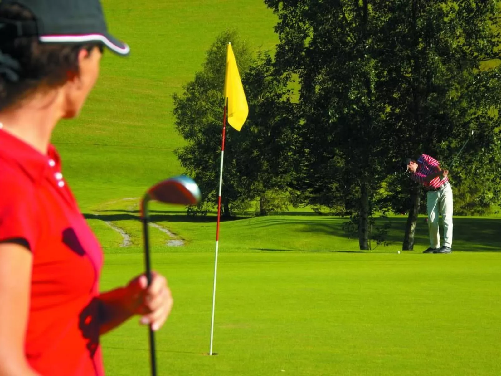 Lisa-Image-tags.info