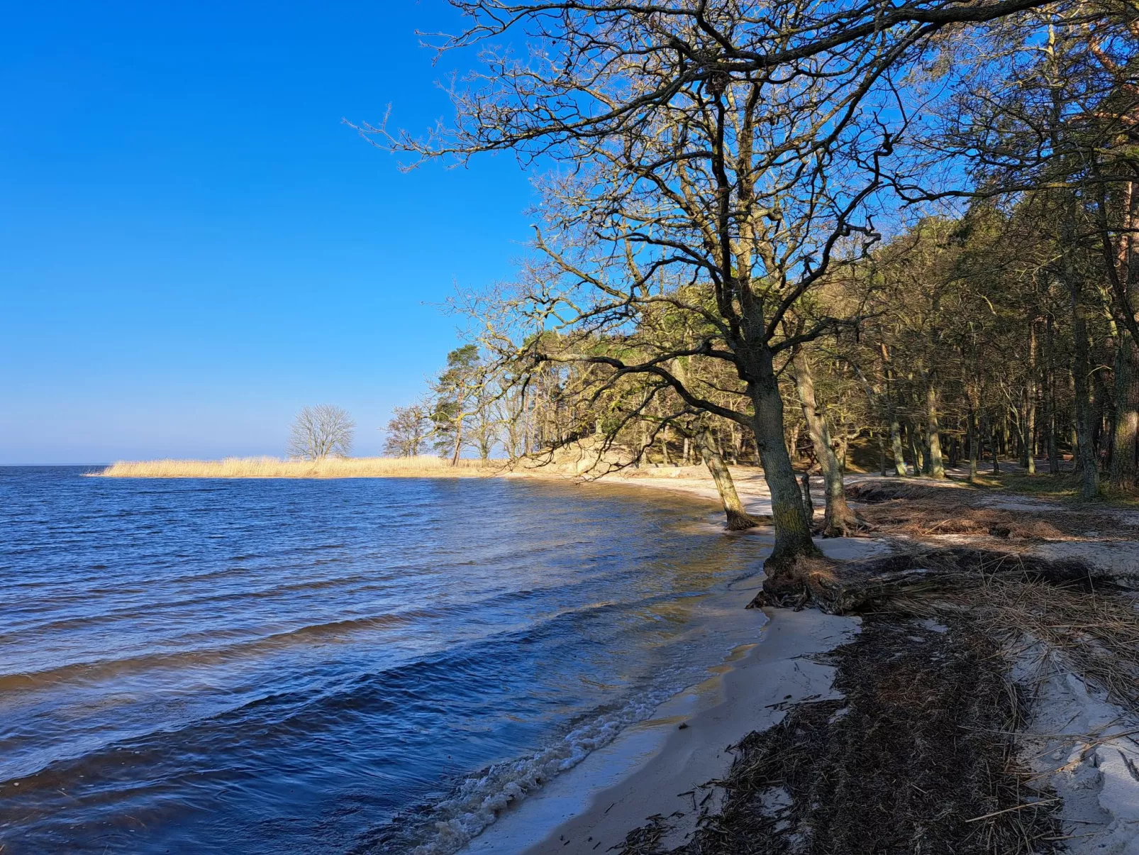 Mit Terrasse mitten im Grünen-Buiten