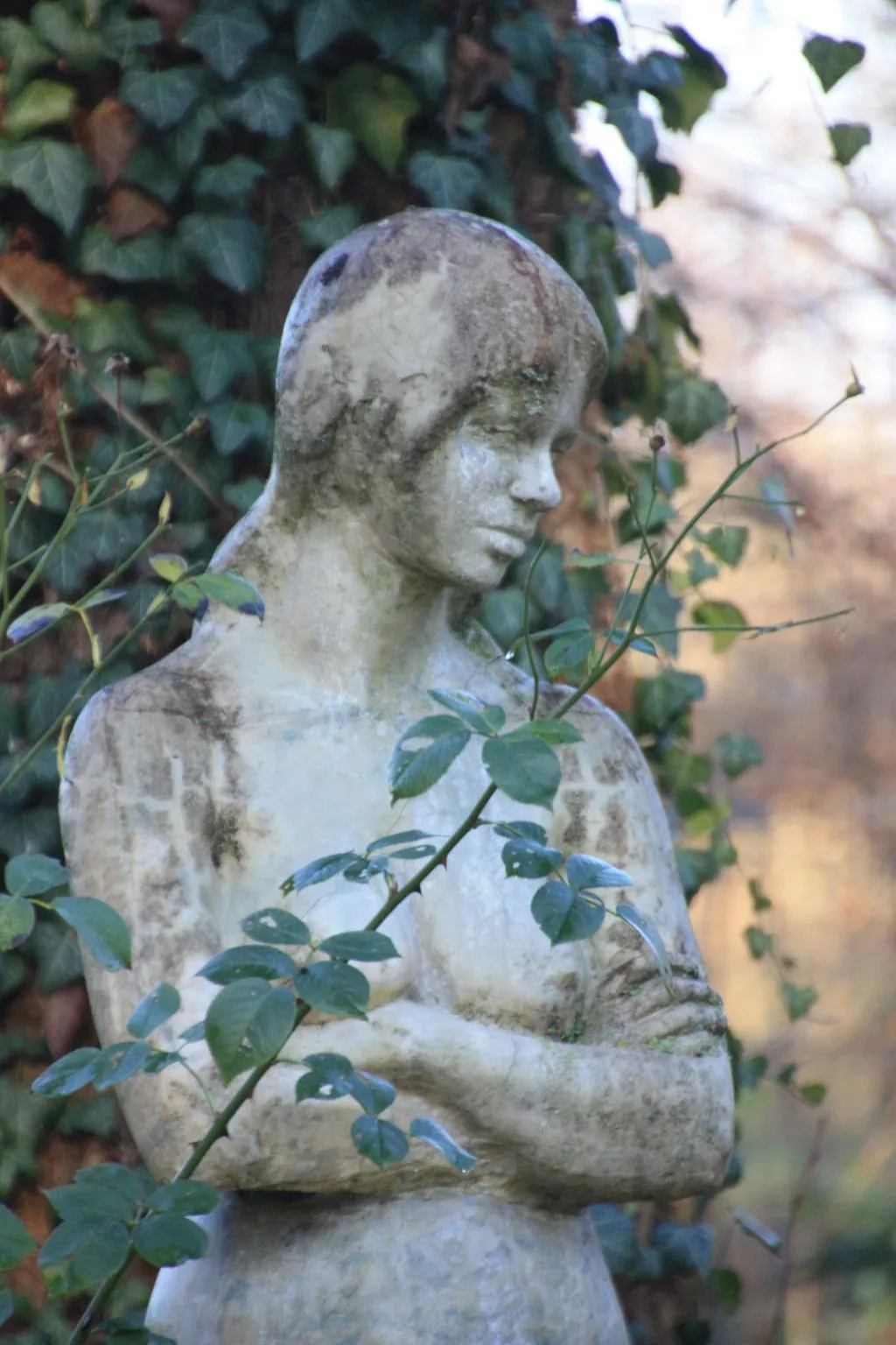 Wohlfühloase für Natur- und Gartenliebhaber
