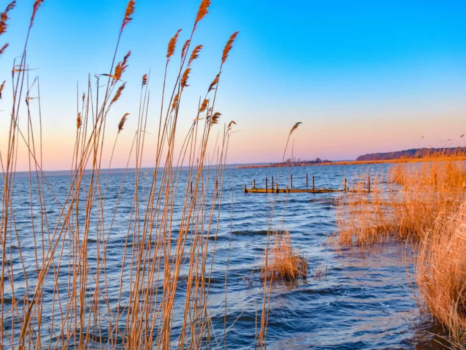 Waldperle-Image-tags.info