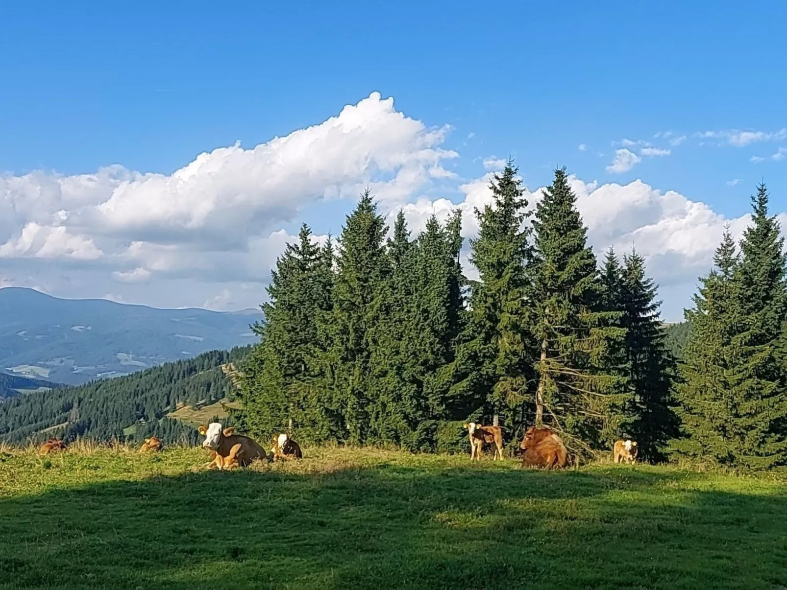 Zirbenholzalmhütte mit fantastischem Ausblick-Buiten