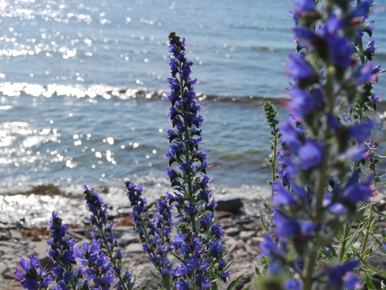 Freistehende Strandvilla mit großem Balkon