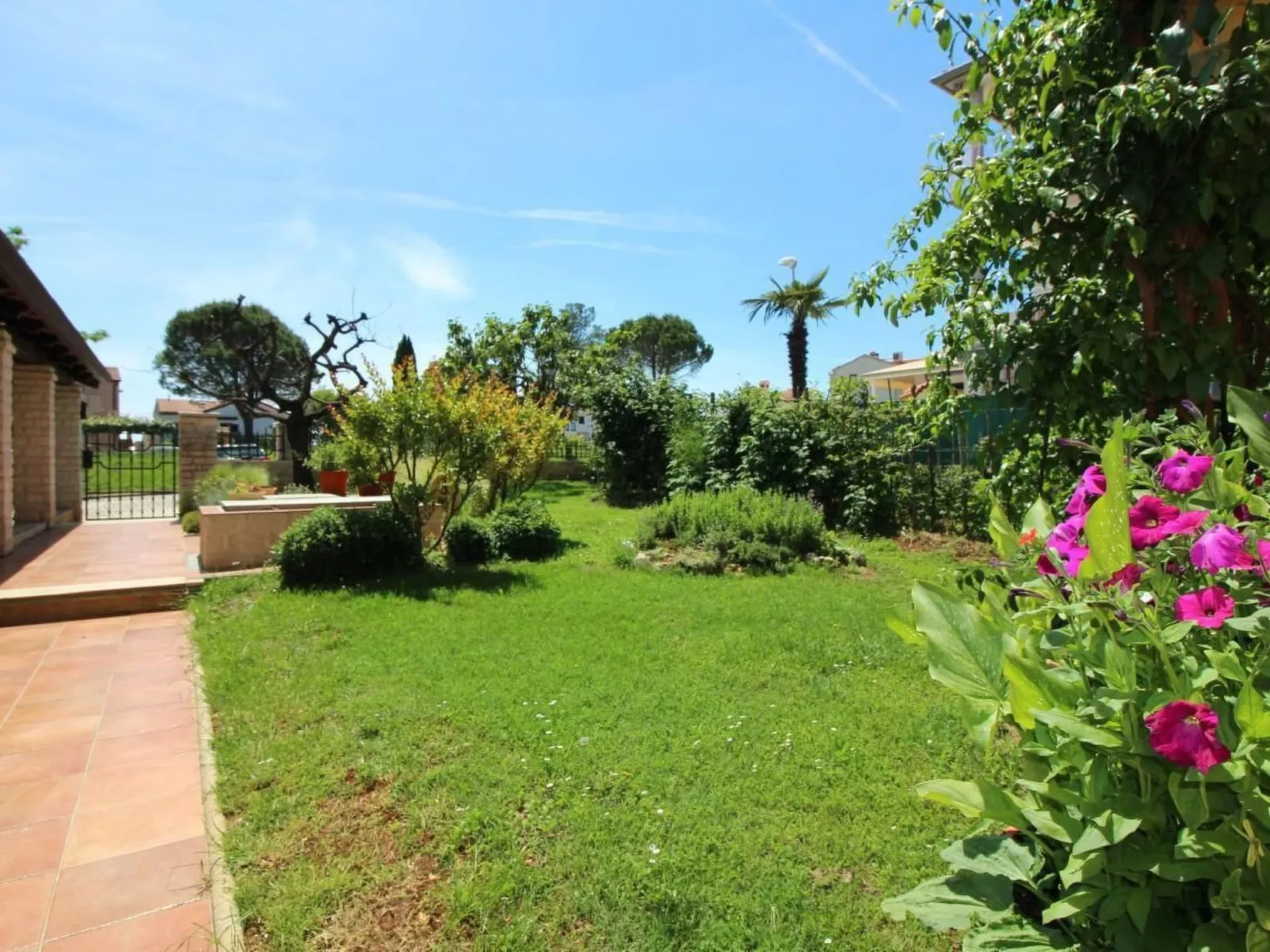 Tancel A3-Image-tags.info