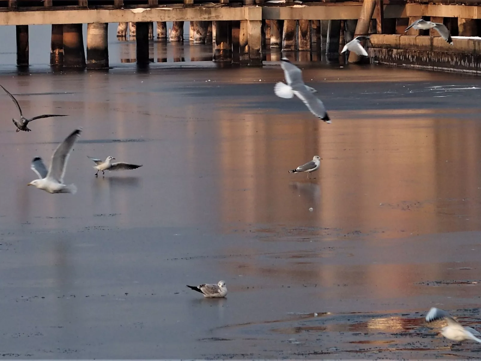 Moderne Ferienwohnung mit Balkon, nur 500 Meter von Meer und Strand entfernt-Image-tags.info