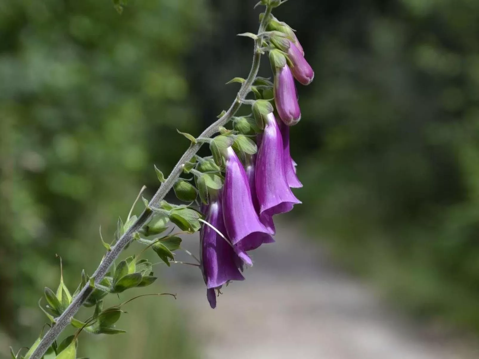Haus am Stein Haus 2