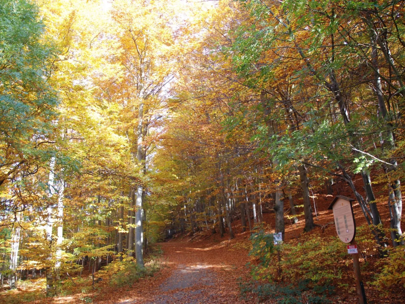 Fewo Burgbergblick-Buiten