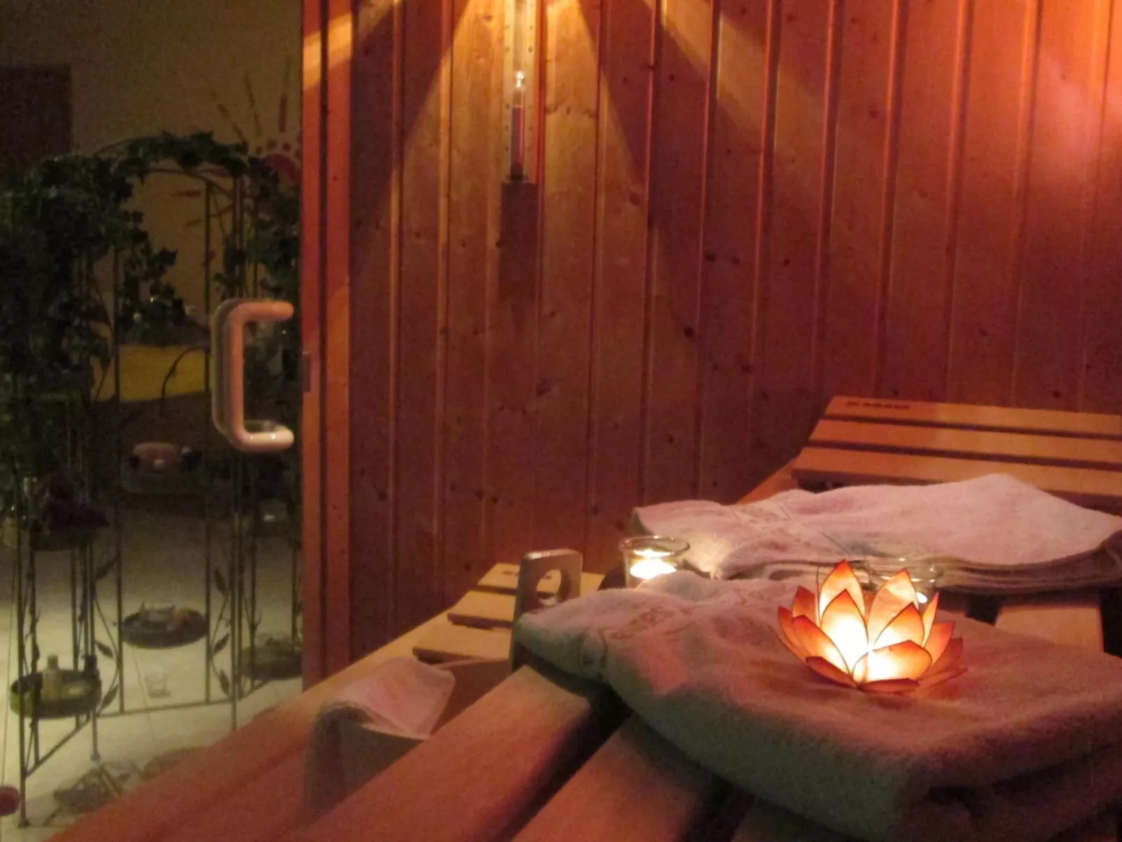 Seitz 2 in Bayerisch Eisenstein