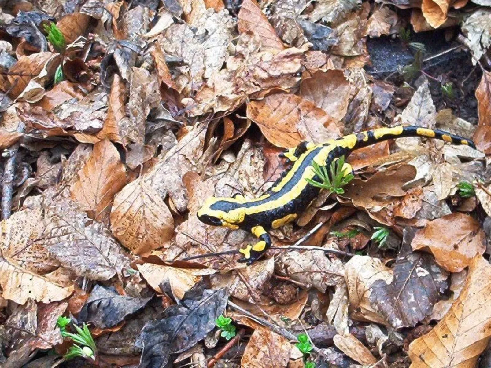 Fewo Stricker 12-Buiten