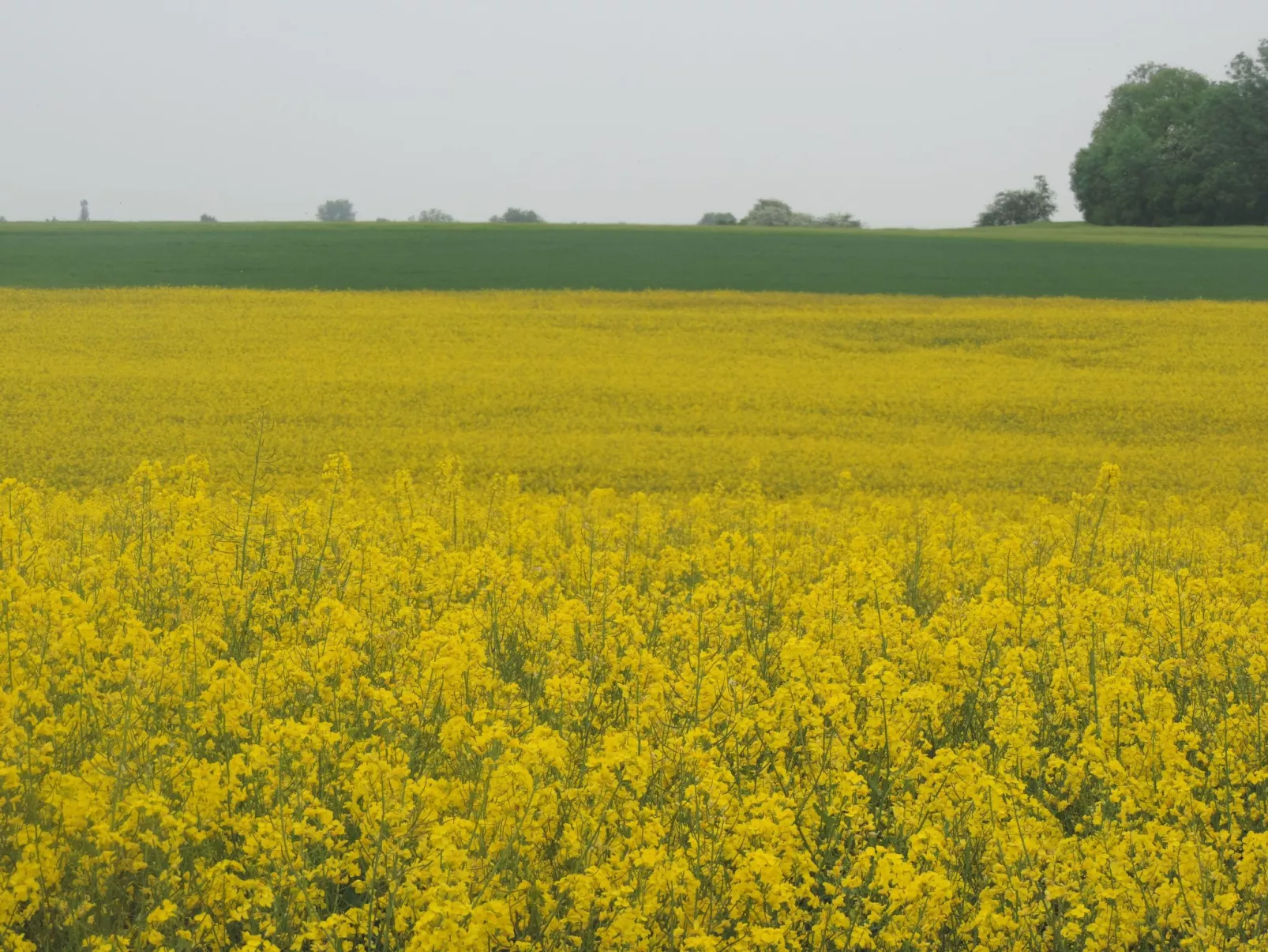 Mit Liebe ausgestattetes Haus im Naturpark