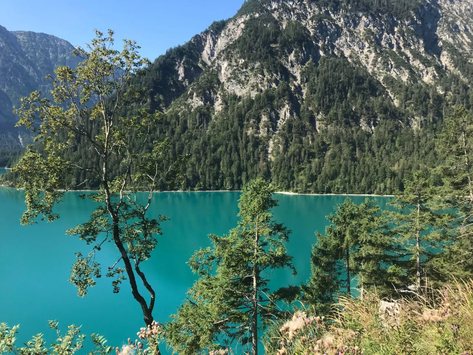 Pony-Ziegen-Hasen-Ranch in Bichlbach