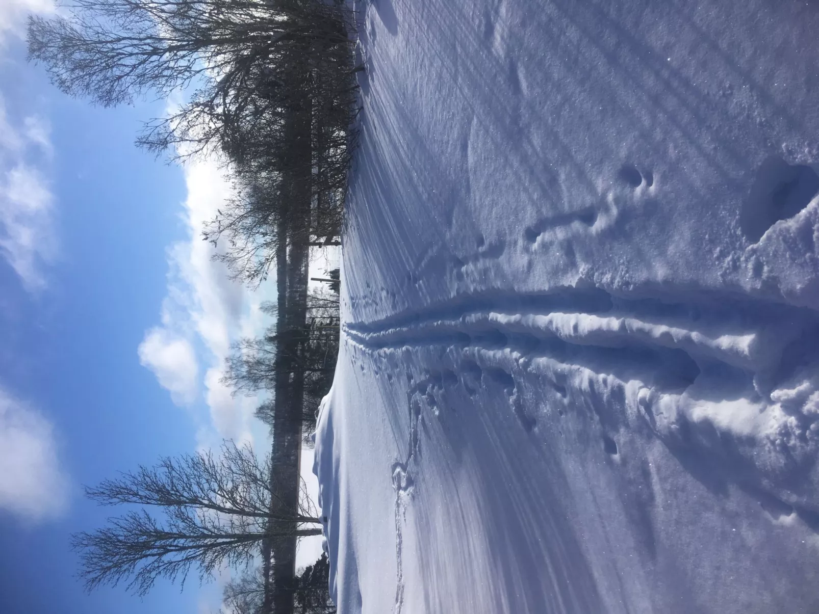 Haus mit toller Aussicht an einem schönen See-Buiten