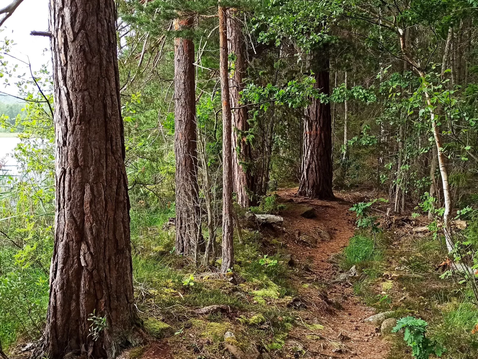 Haus zum Wohlfühlen-Image-tags.info