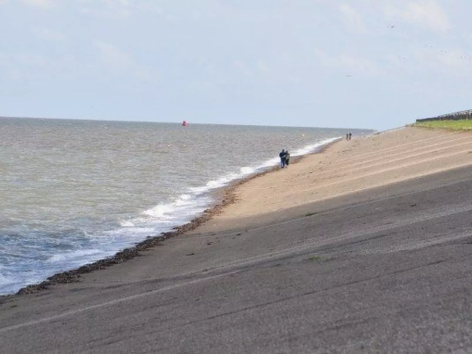 182 De Druif-Image-tags.info