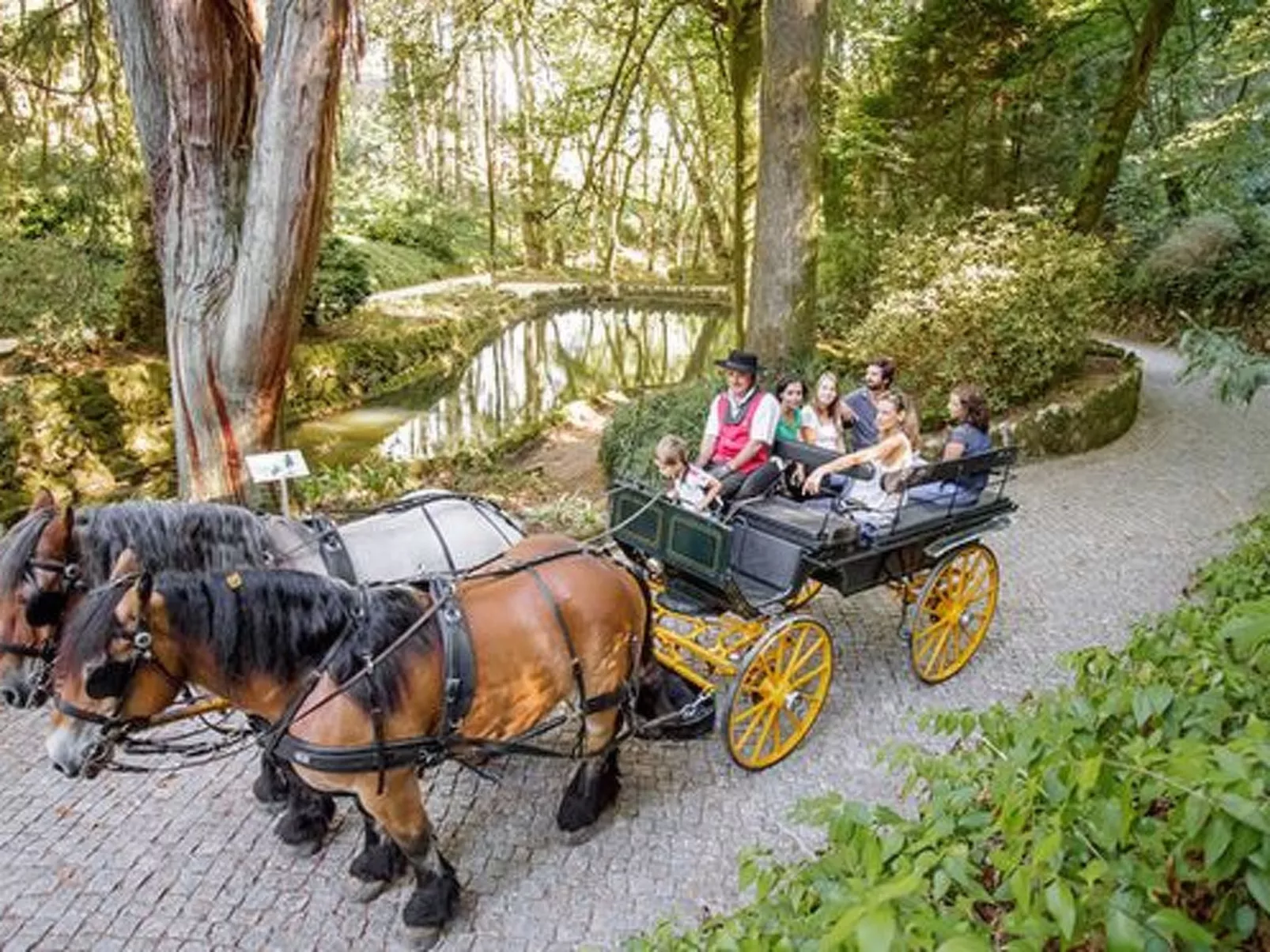 Schöne Wohnung in Azenhas Mar mit großem Garten-Buiten