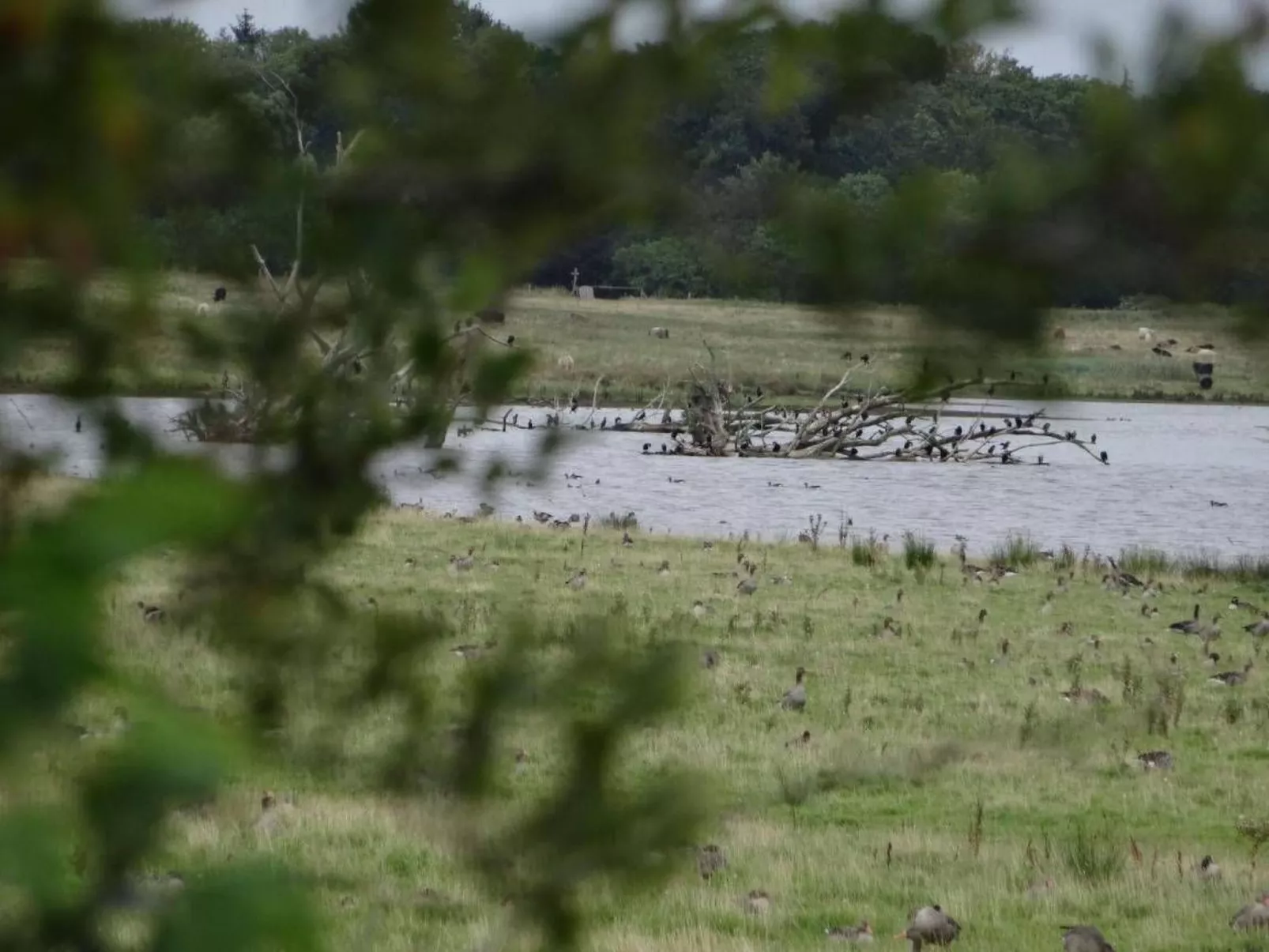 Urlaub am Meer im Ferienhaus mit Sauna
