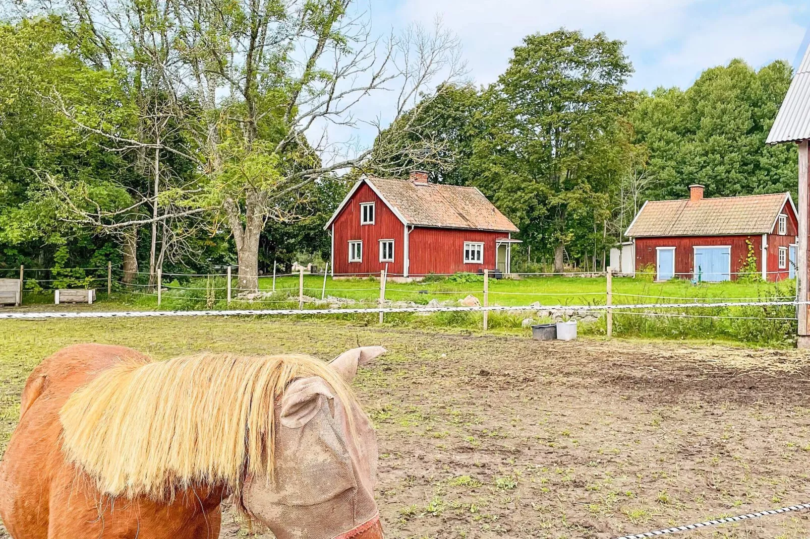 4 persoons vakantie huis in MARIESTAD-By Traum-Buitenlucht