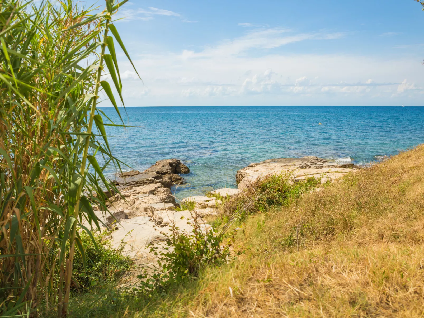 Apartment mit Meerblick für 4 Personen-Omgeving