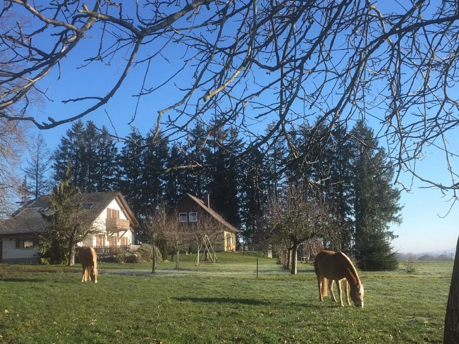 Wohnung "Bellevue"-Image-tags.info