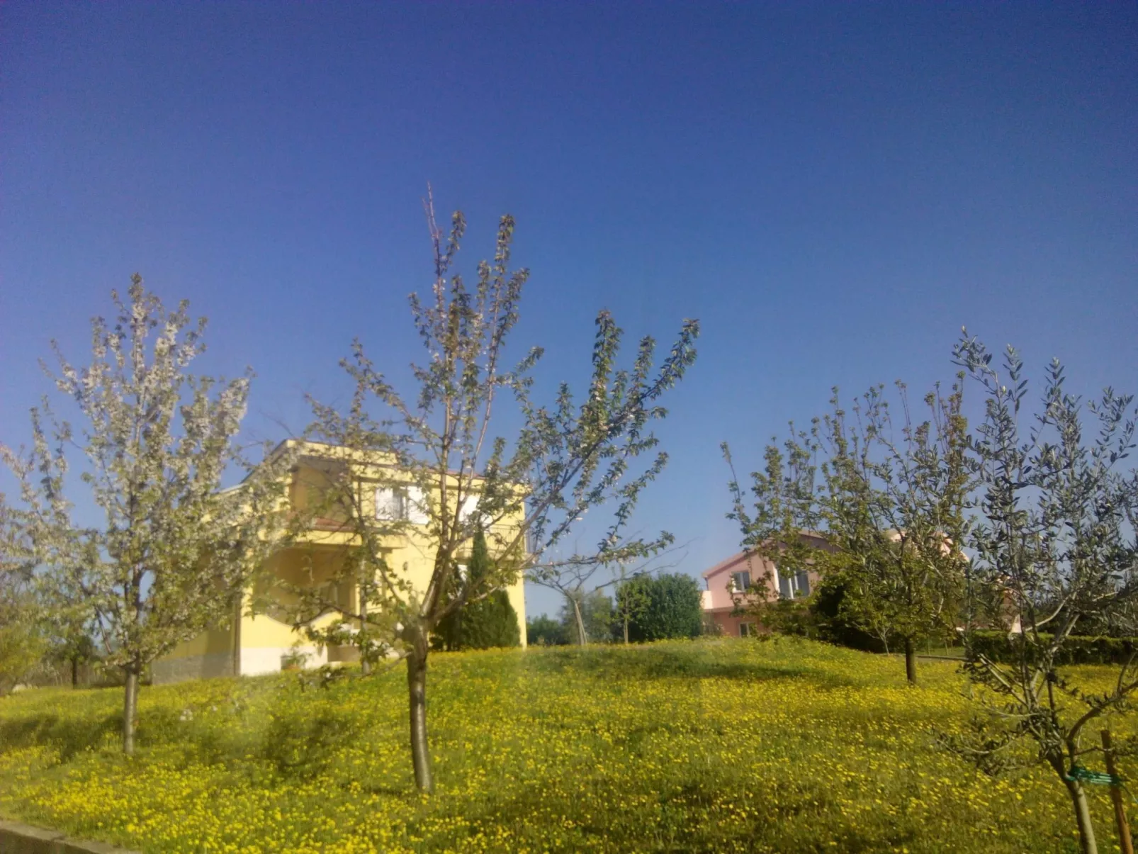 Ferienvilla "Fabulous Vila Ivanka"-Buiten