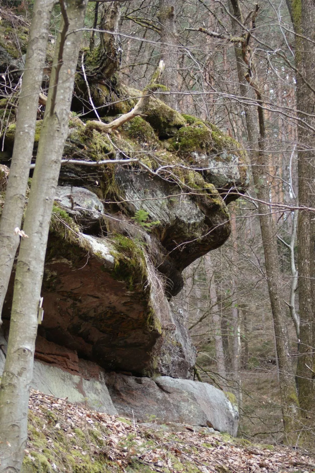 Wohnung du Coucou in Lichtenberg