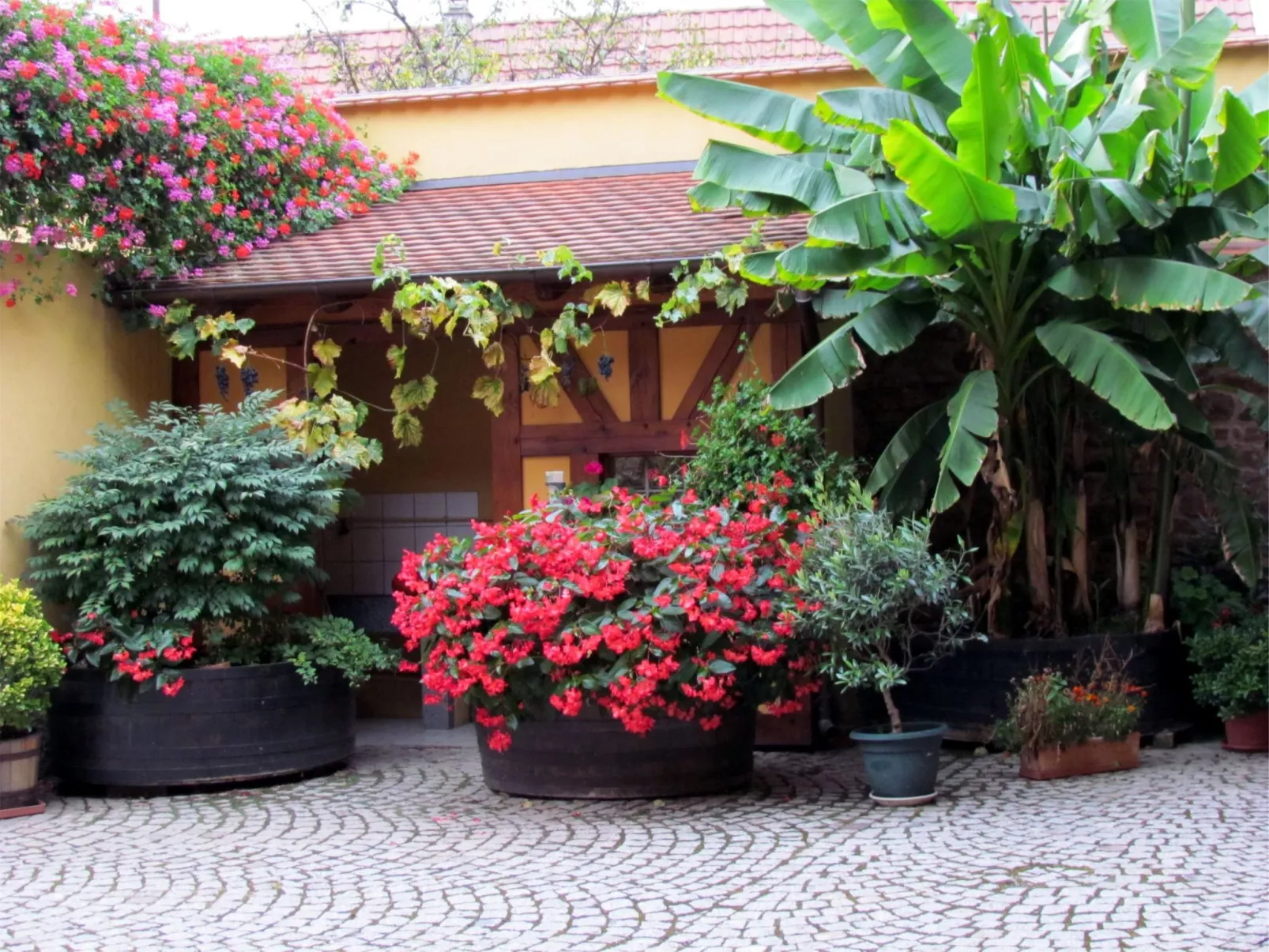 Große Ferienwohnung Gite mit Terrasse