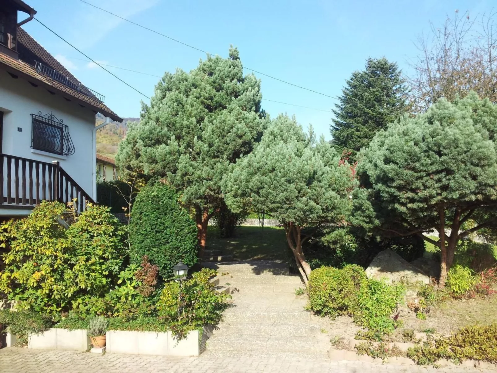  Bellevue mit Große Garten