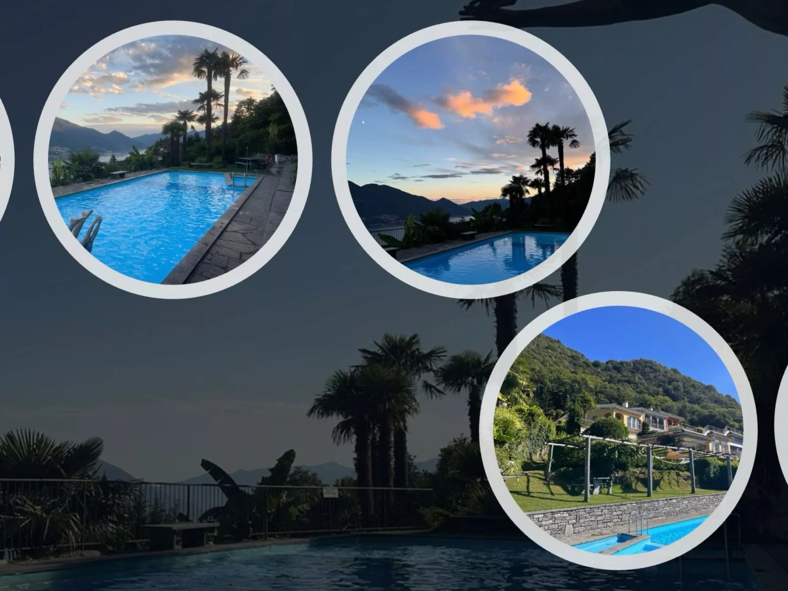 La Camelina - Contra