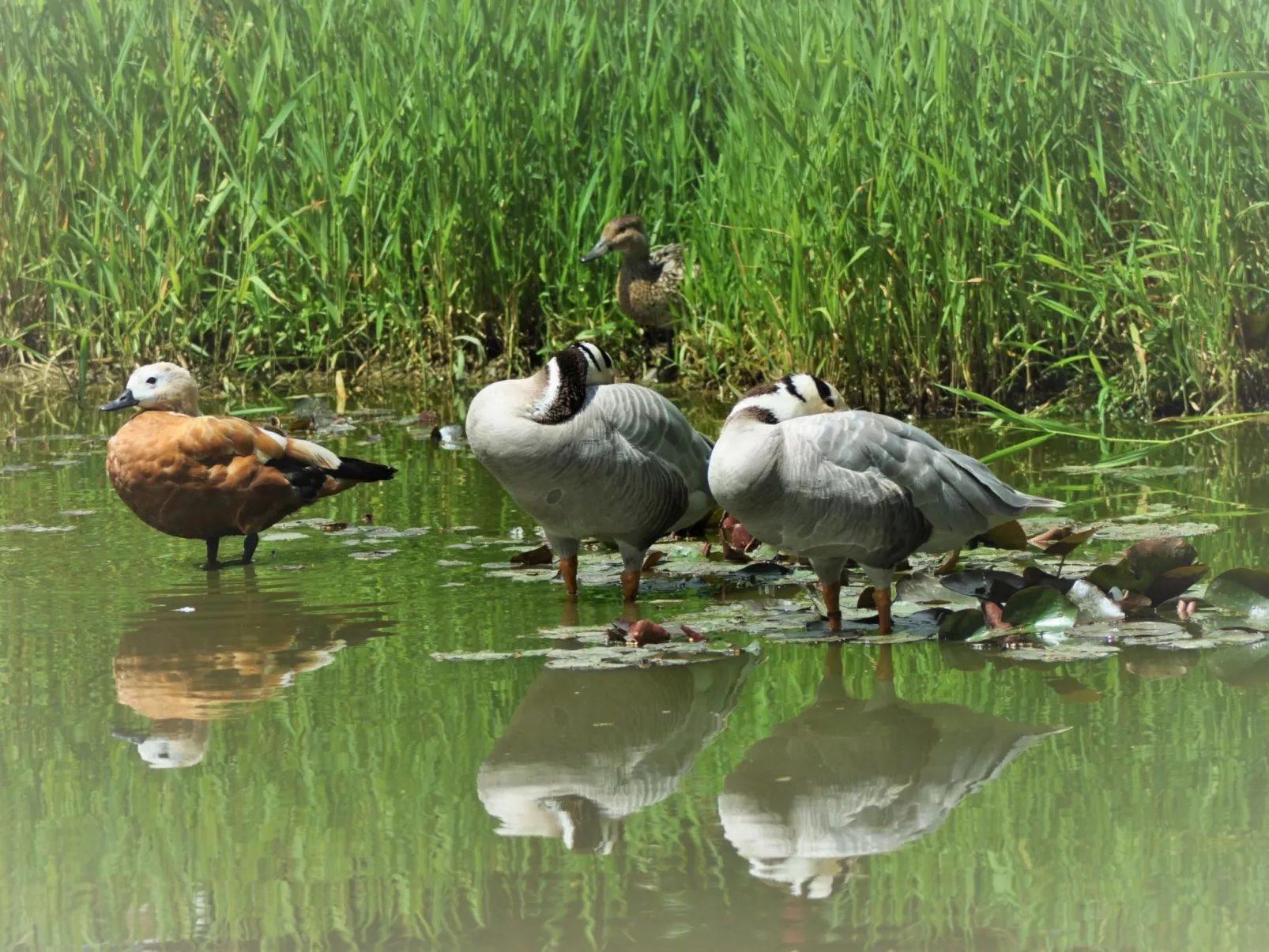 Für acht Personen-Buiten