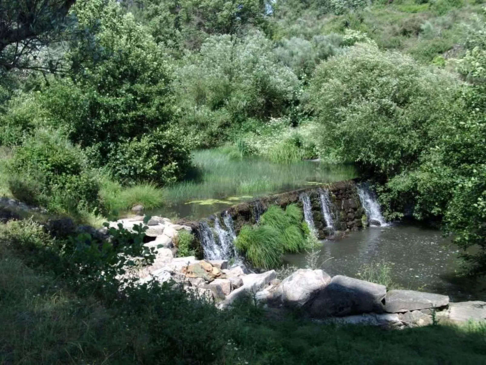 Ferien auf dem Bauernhof mit Weinberg-Buiten